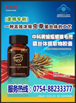 看更好的的效果,请点击放大!!